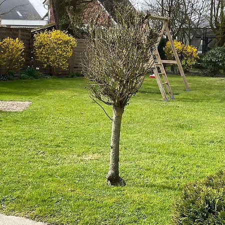 Feriengarten-buesum-d12